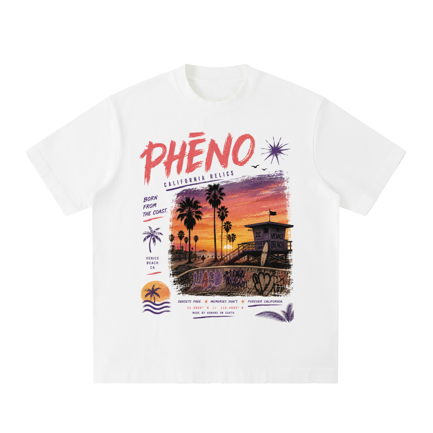 California Relics 02  Heavyweight Vintage Washed Frayed T-Shirt